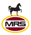 MRS logo